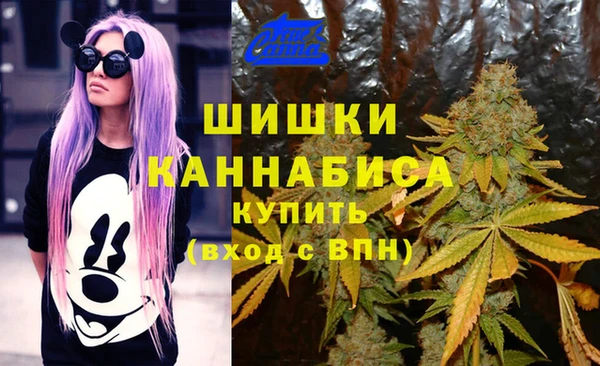 МДПВ Лиски