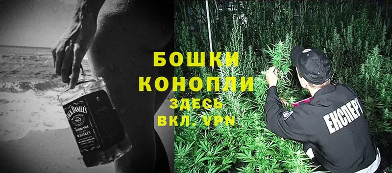 Конопля OG Kush  Палласовка 